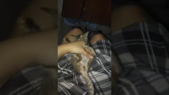 mga panahon na ayaw sya lubayan ng muta nya😂 смотреть онлайн
