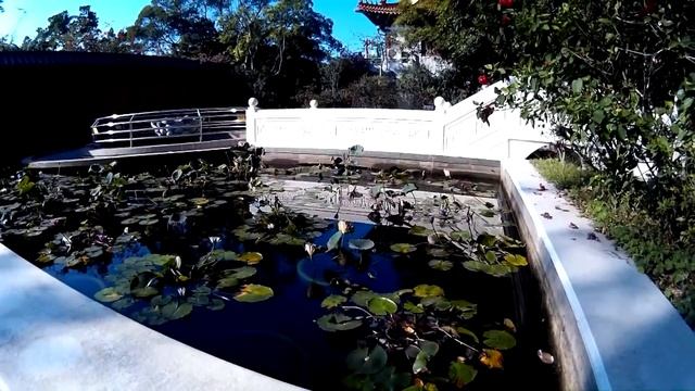 Hong Kong Big Buddha/Гонконг Большой Будда,монастырь Полинь,канатная дорога,много видов смотреть онлайн