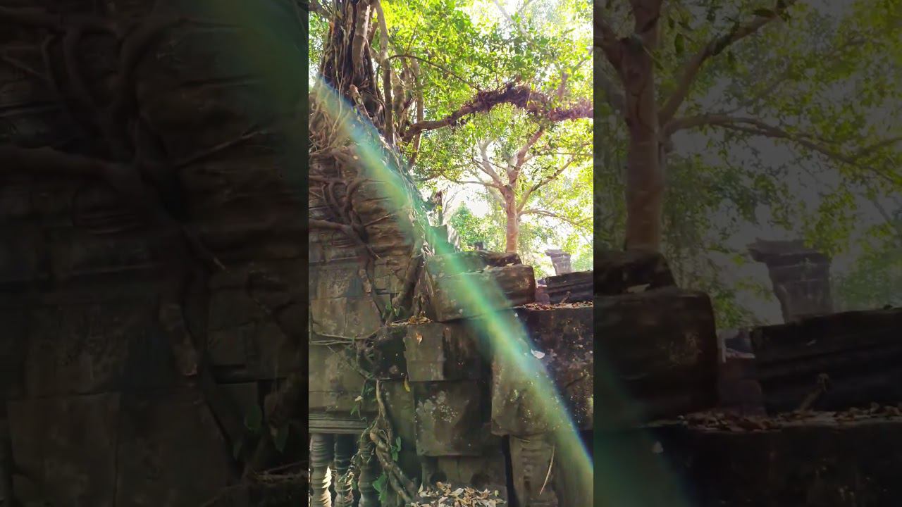 Руины храма Бенг миле. Ангкор. Камбоджа смотреть онлайн