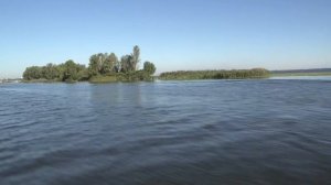 ТРОФЕЙНАЯ ОХОТА | ОХОТА НА ЛЫСУХУ | ОХОТА НА УТОК | КАК ОХОТИТЬСЯ НА УТОК | ГОТОВИМ УТКУ | ТРОФЕЙ