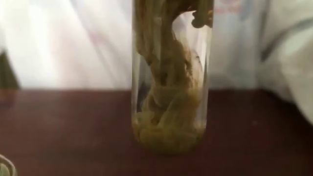 Калий және натрий гидроксиді (KOH, NaOH) Ag+ катионына сапалық реакциялар смотреть онлайн