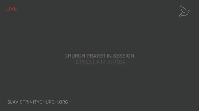 11/03/2023 Friday 7pm - Full Service смотреть онлайн