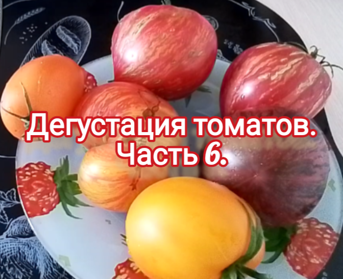 Дегустация томатов. Часть 6. смотреть онлайн