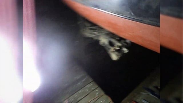 Замена подушек кабины ISUZU ИСУЗУ Эльф смотреть онлайн