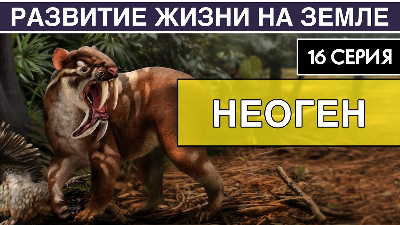 НЕОГЕНОВЫЙ ПЕРИОД. Развитие жизни на Земле. 16 серия | Наступление степей смотреть онлайн