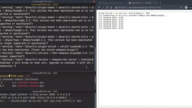 Vue CLI UI Cross-site WebSocket Hijacking to RCE смотреть онлайн
