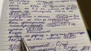 МОЙ ЗАРАБОТОК НА ШИНШИЛЛАХ || Шиншилловая ферма || Бизнес на шиншиллах