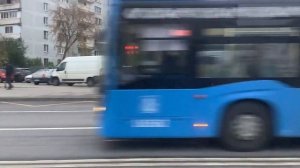 Поездка на автобусе 828 от Метро Красногвардейская до метро Домодедовская
