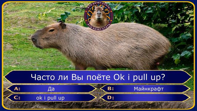 ТЕСТ! КАКАЯ ТЫ КАПИБАРА?! смотреть онлайн