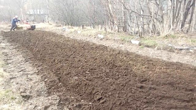 Мотоблок Салют. Motor Salute смотреть онлайн