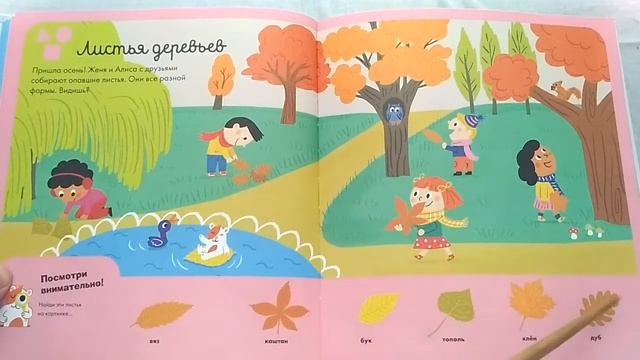 Учим листья деревьев смотреть онлайн