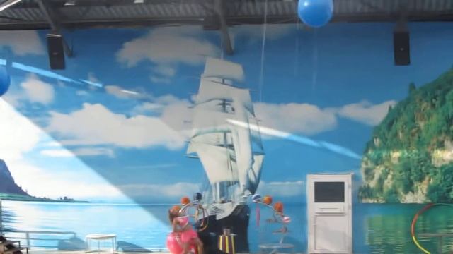 Танец влюблённого морского котика СУПЕР!!! смотреть онлайн