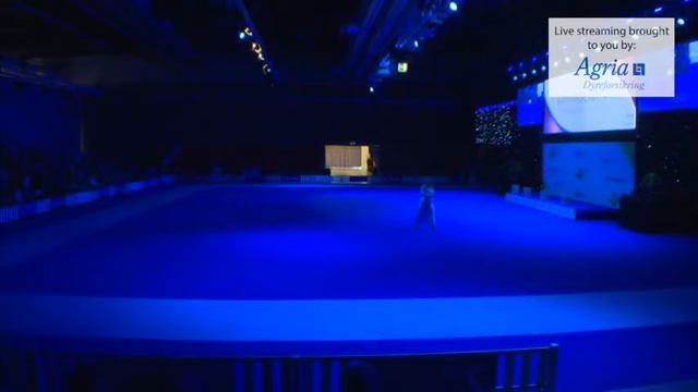 European Dog Show 2015 - Opening Ceremony (English) смотреть онлайн