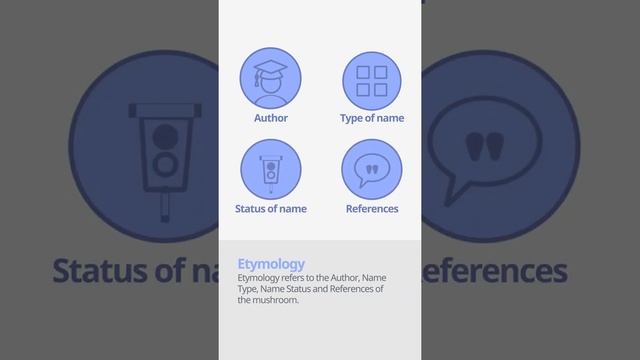 Oyster mushroom (Pleurotus ostreatus) | Etymology | Scientific Short Profile | Shroomers смотреть онлайн