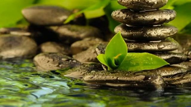 лучшая музыка для релаксации смотреть онлайн