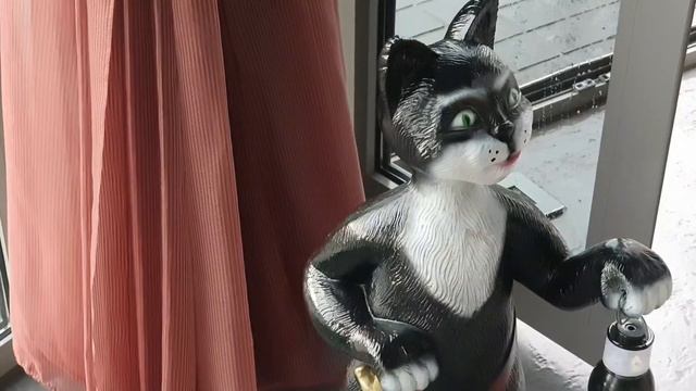 Куда поехать любителям кошек? смотреть онлайн