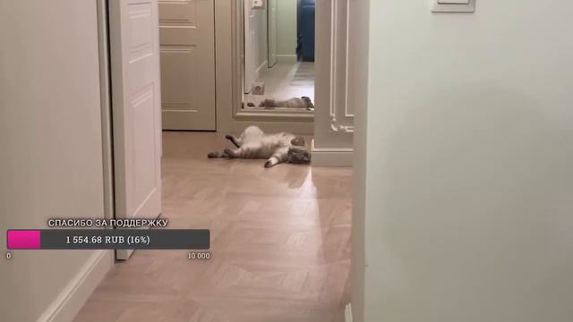 Добрый вечер смотреть онлайн