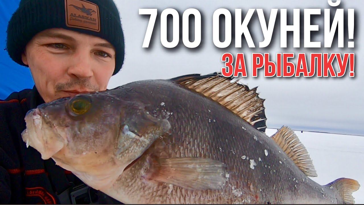 НА ЭТОМ ОЗЕРЕ ВЕЧНЫЙ ТУРБО КЛЁВ! С ОДНОЙ ЛУНКИ! РЫБАЛКА НА ДАЛЁКОМ ТАЁЖНОМ ОЗЕРЕ. 1часть смотреть онлайн
