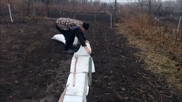 Огород под зиму Почему не росла морковь смотреть онлайн