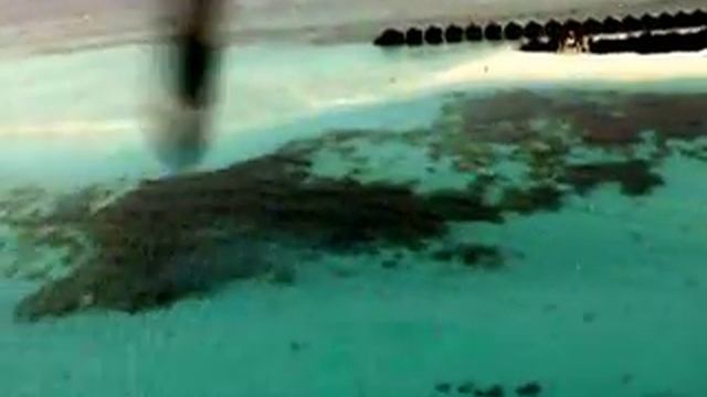 Maldivian Air Taxi Start