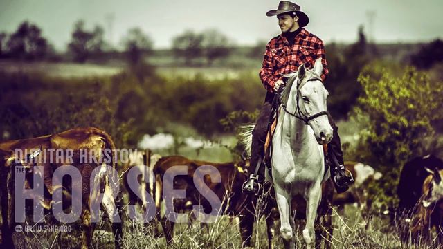 Wild West Cowboy - Cattle Drive - Equestrian photography by Dimitar Hristov смотреть онлайн