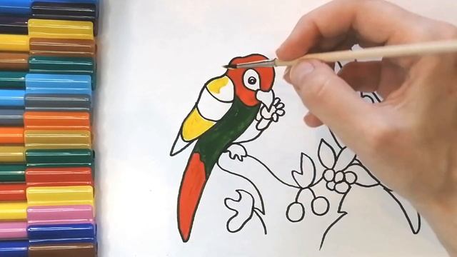 Как нарисовать ПОПУГАЯ / Рисуем попугаев / How to Draw a Parrot смотреть онлайн