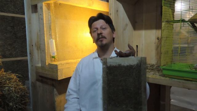 Дом из соломы и мыши смотреть онлайн