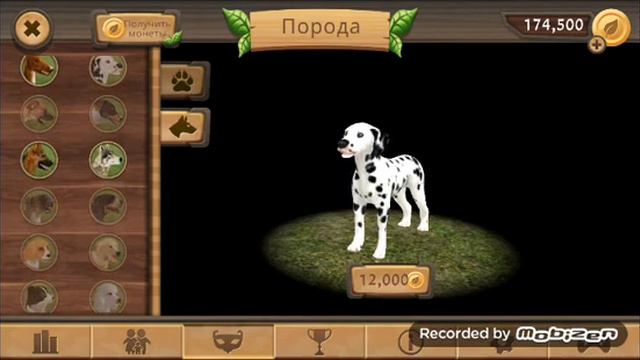 Играю в дог сим в 4 часа утра по сети смотреть онлайн