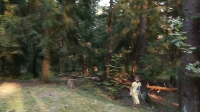 2017 05 19 Сосны. Шашлыки с Мухлаевыми смотреть онлайн