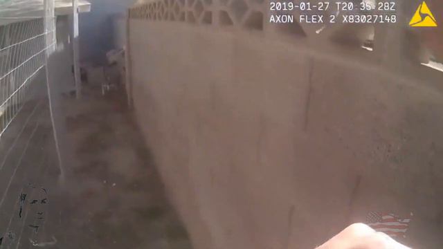 POLICE USA 39 / Police Activity USA 39 / / Полиция США - Выпуск 39 /