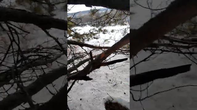 Необычайное явление в аномальной зоне "Желтояр" смотреть онлайн