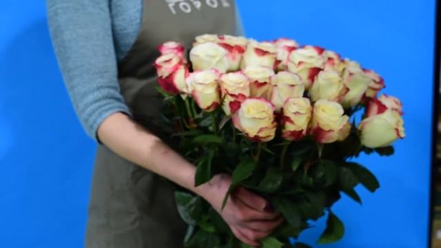 Букет из 19 эквадорских роз смотреть онлайн