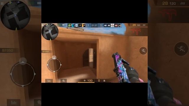 Даша корейка побывала в standoff 2 смотреть онлайн