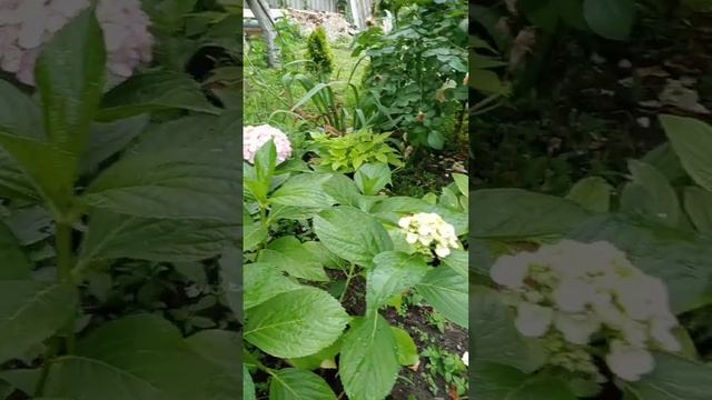 Красотка наша смотреть онлайн