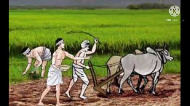 Оптимистичный фермер(Индия) смотреть онлайн