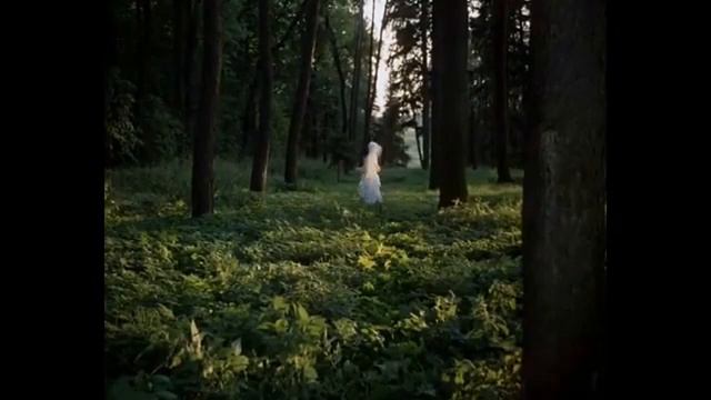 Tube_1678715673770.mp4