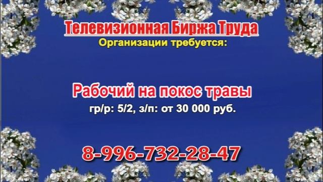 30.05.22 в 16.30 на Губернии ТБТ-Самара, ТБТ-Тольятти