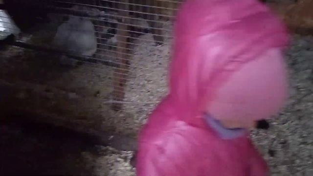 СДЕЛАЛИ МАТОЧНИК. ЖИЗНЬ ПРОСТЫХ ЛЮДЕЙ, МУЖ РУГАЕТ МЕНЯ ?ЗАБЫЛА ЗАКАЗАТЬ СЕННИКИ И КОРМУШКИ