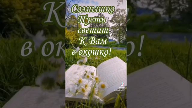 Да, зарасти оно всё ромашками! смотреть онлайн