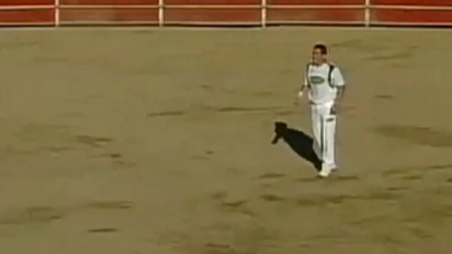 Полёты над быками смотреть онлайн