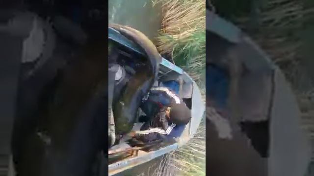 Огромный сом#жайын смотреть онлайн
