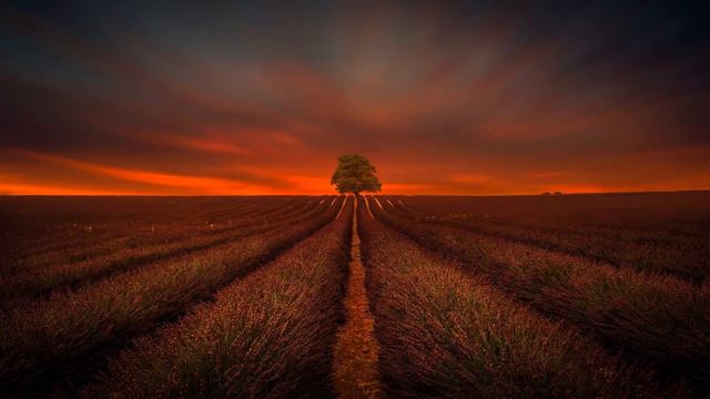 Bruch Violin Conc. #1 In G Minor, Op.26 - Mendelssohn & Bruch Violin Concertos Adagio