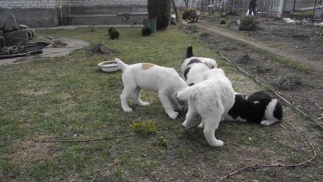 Классные дети... правда? смотреть онлайн