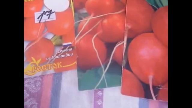 Обзор, салаты и редис. ВПЛ. смотреть онлайн