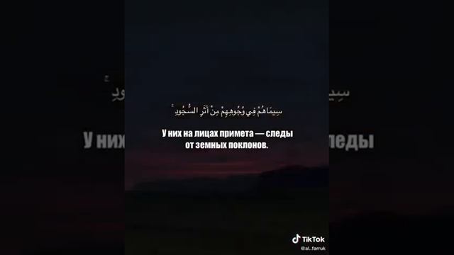 Мухаммад С.А.С Посланник Аллаха смотреть онлайн