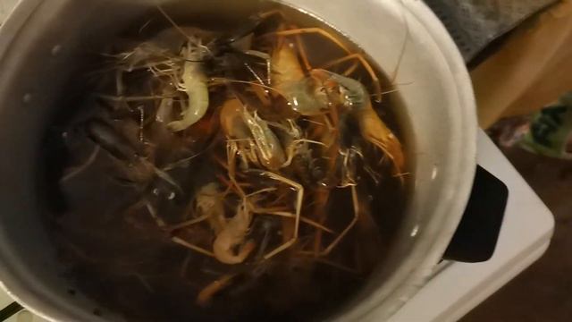 РЕЧНАЯ КРЕВЕТКА! ОЧЕНЬ РЕДКАЯ И ВКУСНАЯ ВЕЩЩЩ!!! смотреть онлайн