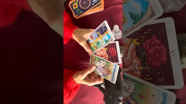 Лунное затмение и Полнолуние для всех знаков. #тароонлайн #эзотерика #лунноезатмение #полнолуние смотреть онлайн