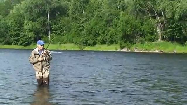 Хабаровск. Ловля Лосося нахлыстом. смотреть онлайн