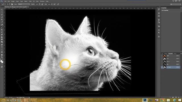 HOW TO USE ALPHA CHANNEL IN PHOTOSHOP CC TUTORIAL смотреть онлайн