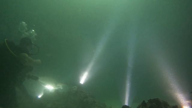 манта и Кузя